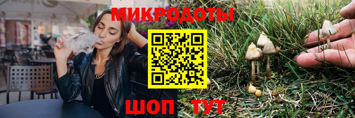 Псилоцибиновые грибы GOLDEN TEACHER Приморско-Ахтарск