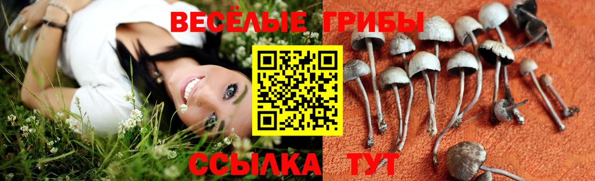 Псилоцибиновые грибы мухоморы  Галлюциногенные грибы Psilocybine cubensis  Вход с VPN  Приморско-Ахтарск 